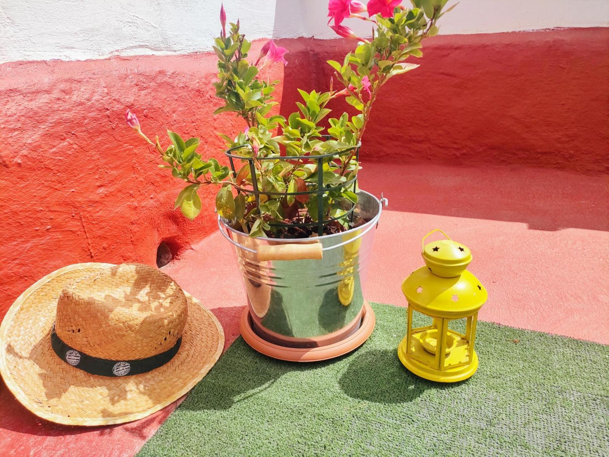 Casa El Escano Granadilla De Abona Esterno foto