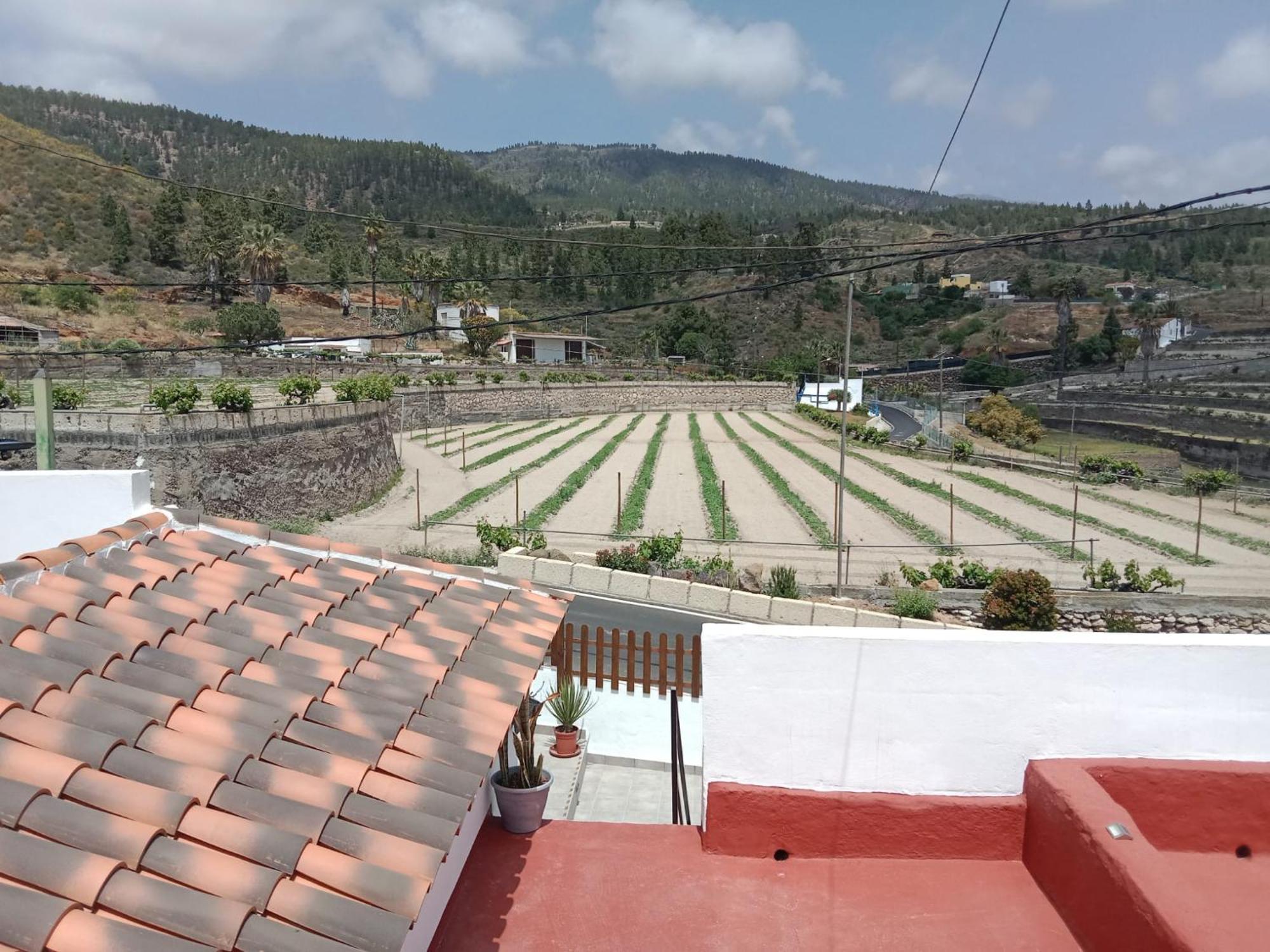 Casa El Escano Granadilla De Abona Esterno foto